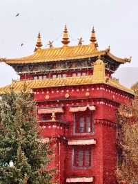 稻城亞丁的秋，是一場短暫的夢