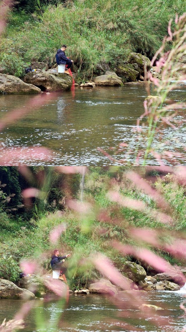 青城山免票！雲孚里莊園春秋假遛娃封神