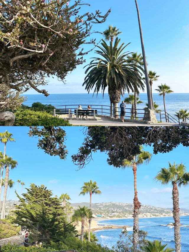 加州日記｜Laguna Beach不踩雷攻略