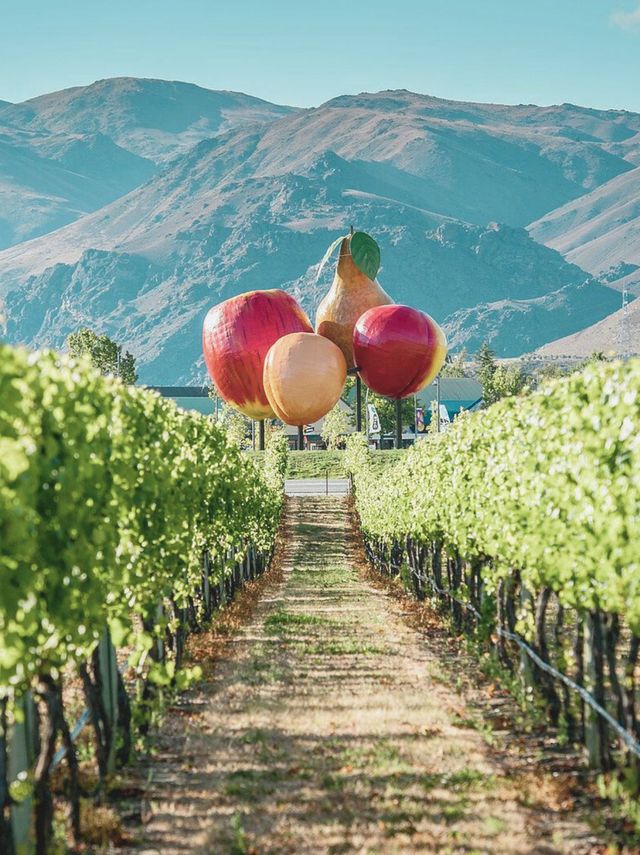 新西蘭南島旅遊走對順序,次回本 新西蘭南島旅遊走對順序,次回本