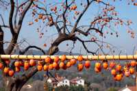 楠溪江｜想逃離城市喧囂？嚟呢個神仙級山水詩鄉！