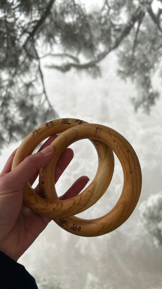 年初帶著師父的任務拜訪廬山仙人洞道院 年初帶著師父的任務拜訪廬山仙人洞道院