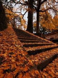 人少!景美!秋季來衡山到這才能值回票價