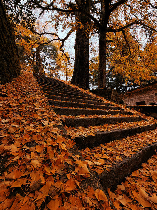 人少!景美!秋季來衡山到這才能值回票價 人少!景美!秋季來衡山到這才能值回票價