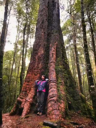 태즈매니아의 천국! 펠드 마운틴 국립공원 일일 여행 가이드