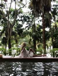 雨林野奢酒店指南