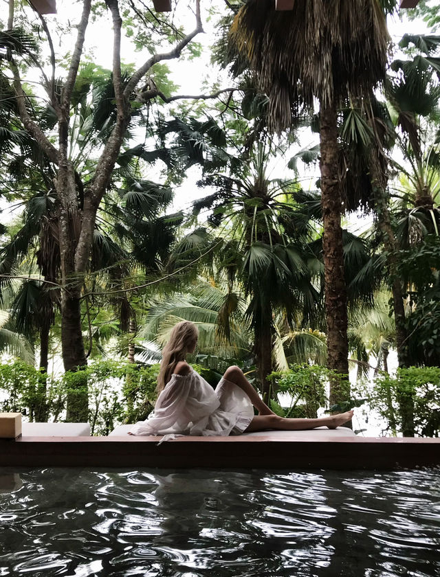 雨林野奢酒店指南 雨林野奢酒店指南