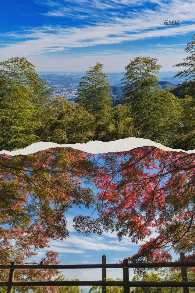 莫干山賞楓 | 五個絕美機位，開啟秋日浪漫之旅