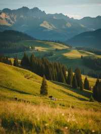 帶娃刷那拉提不費媽1天高效玩透3大區域！