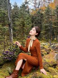 黑龍江秋色，大興安嶺小興安嶺怎麼選