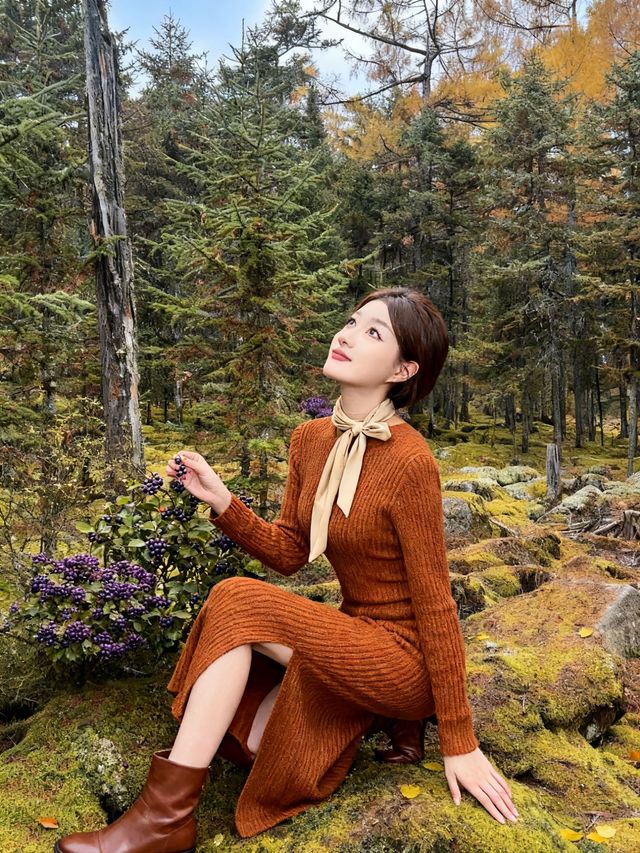 黑龍江秋色，大興安嶺小興安嶺怎麼選