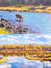 草原+火山+楓林！興安盟3日避坑攻略，實測不踩雷！