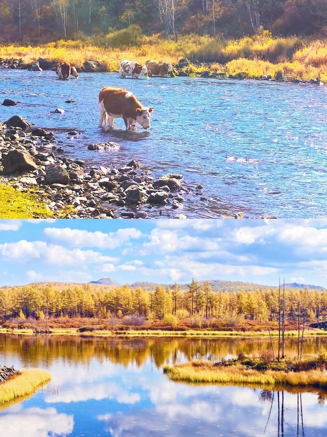 草原+火山+楓林！興安盟3日避坑攻略，實測不踩雷！