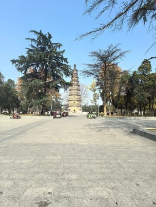 全國重點文物保護單位一一崇法寺塔