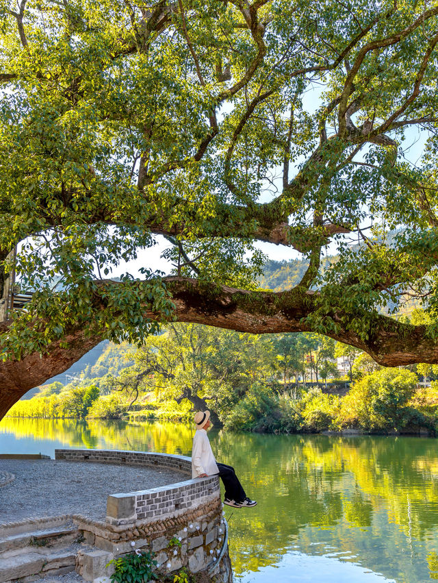 以為皖南的秋天夠美了，直到我去了趟婺源！