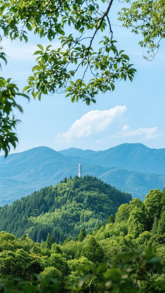 月亮之都深度純玩攻略 月亮之都深度純玩攻略