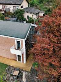 莫干山秋天的2種打開方式(附路線攻略)