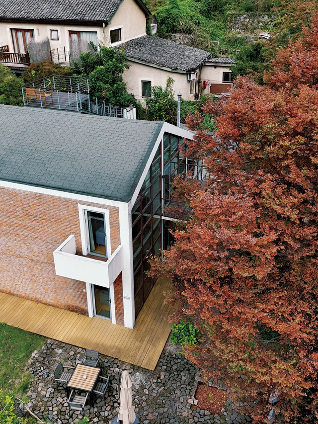 莫干山秋天的2種打開方式(附路線攻略) 莫干山秋天的2種打開方式(附路線攻略)