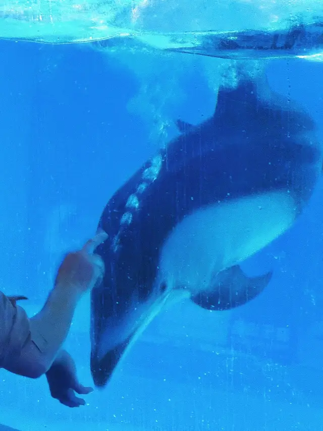 我很少用「震撼」來形容一家餐廳