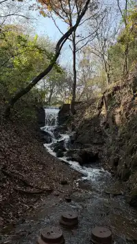 徐州賞秋馬陵山｜逃出戶外 和秋天見面