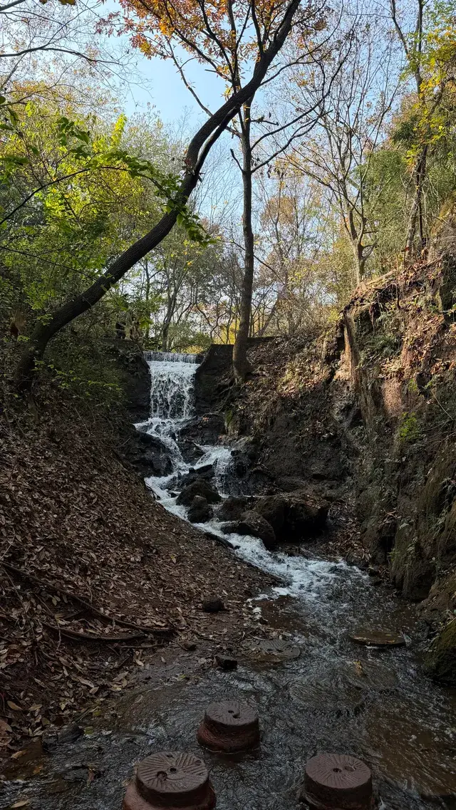 徐州賞秋馬陵山｜逃出戶外 和秋天見面