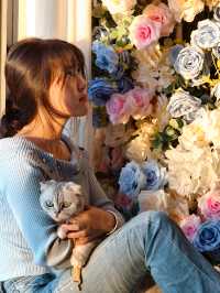 平潭這家海景民宿也太治癒了！面朝大海撸貓太幸福