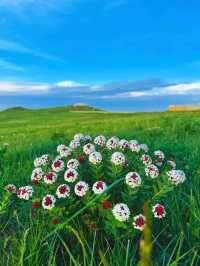 春坤山民宿,詩酒趁年華!