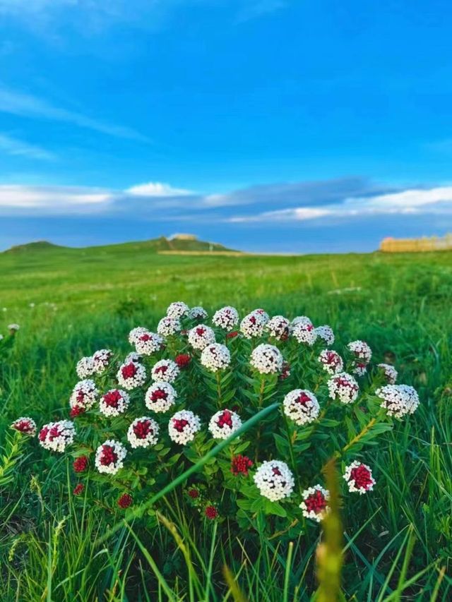 春坤山民宿,詩酒趁年華! 春坤山民宿,詩酒趁年華!