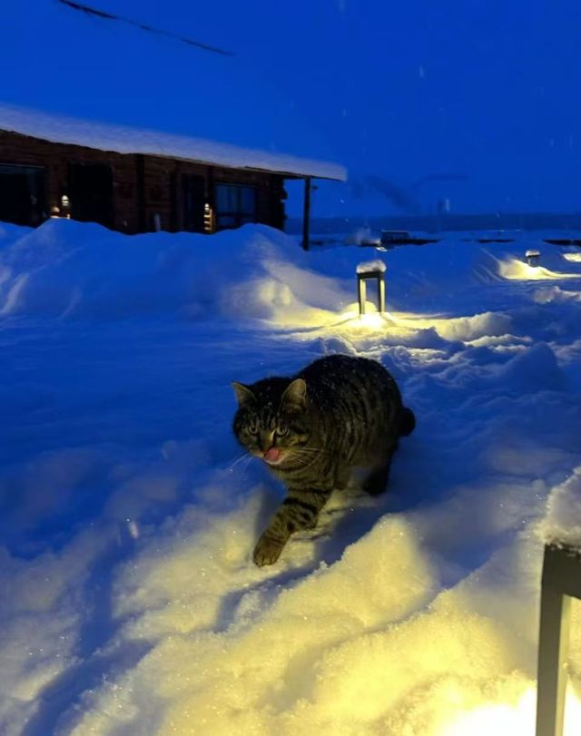 禾木冬遊｜童話村玩透+避坑全攻略 女生直接抄