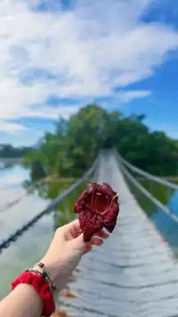 社恐狂喜！東門早8點入園我承包了整片天柱岩