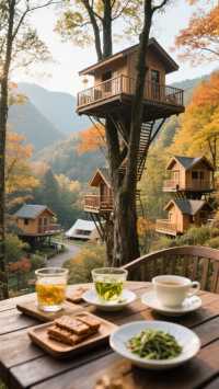 休寧秋日漫遊:尋訪徽州最慵懶的秋天