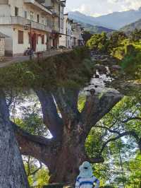 祁門旅遊攻略 | 這個皖南秘境藏不住了！