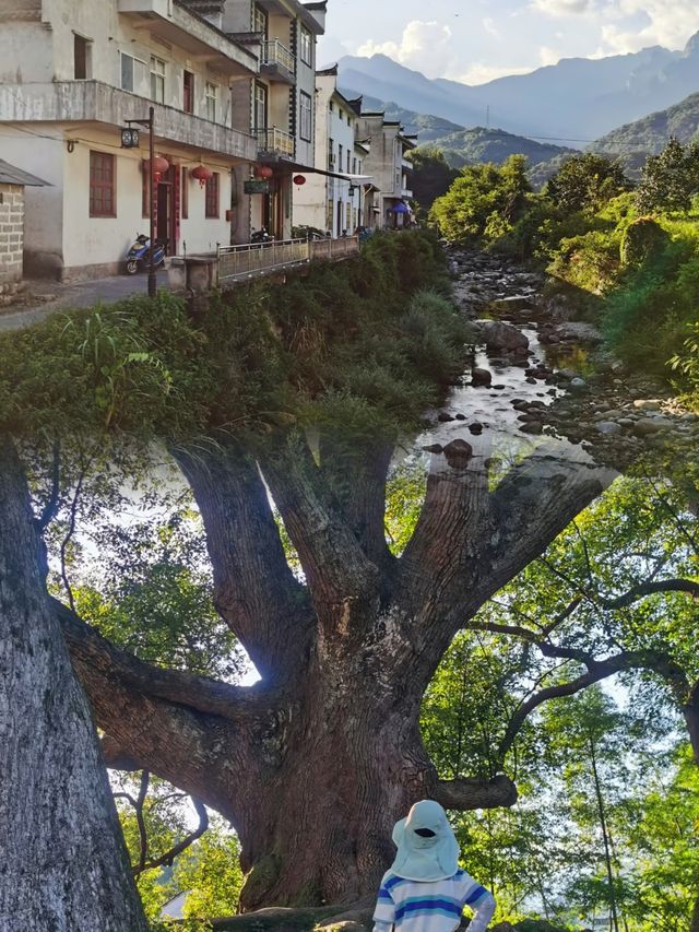 祁門旅遊攻略 | 這個皖南秘境藏不住了！