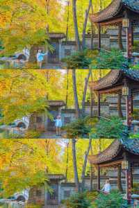 以為宏村秋天夠美了,直到去了這個皖南小鎮