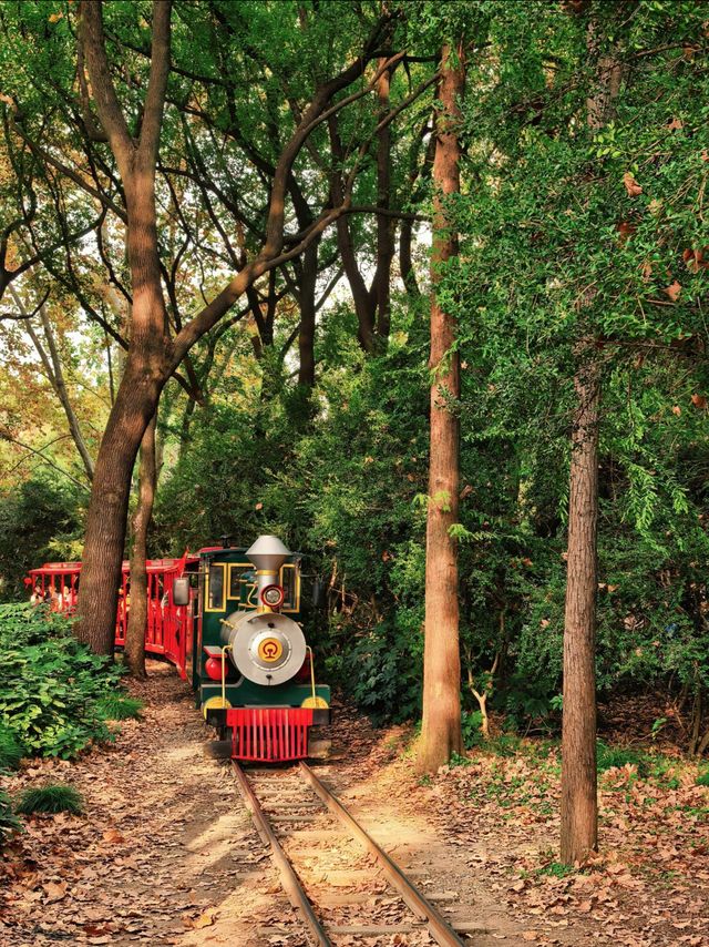 超全攻略!冬日共青森林公園賞秋絕了 超全攻略!冬日共青森林公園賞秋絕了