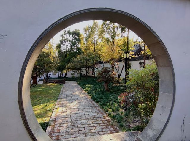 治平寺裡一片金黃