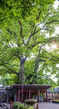 成都平樂古鎮:風景如畫的桃源仙境