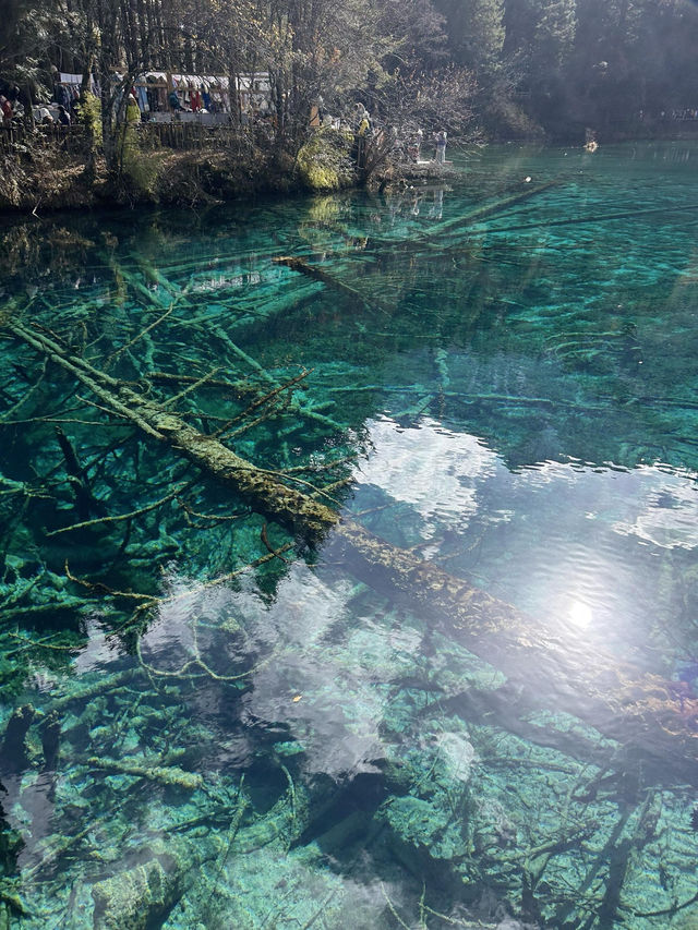 人均700九寨溝兩天一夜窮遊攻略｜徐州出發版