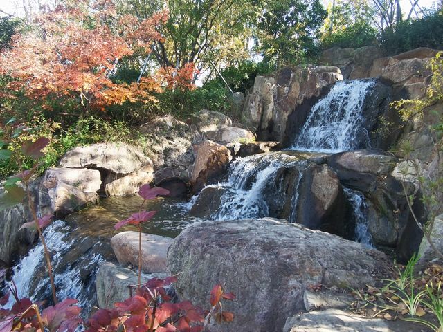 魔都秋色打卡 魔都秋色打卡