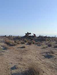 新疆伊吾胡楊秘境