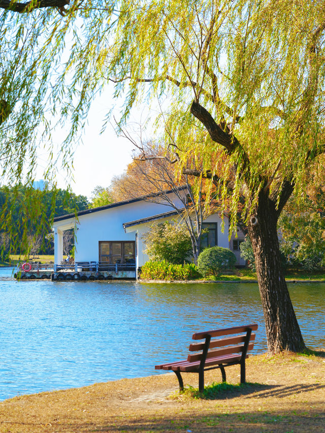 怕你們錯過!再次提醒:共青銀杏濃度已超標 怕你們錯過!再次提醒:共青銀杏濃度已超標