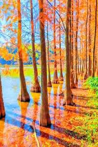 廣州周邊2h逃離城市，闖入秋日浪漫