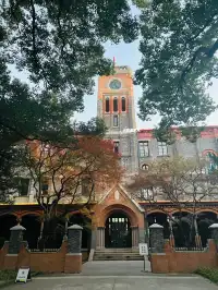 11.30蘇大銀杏實況|想要的色彩這都有