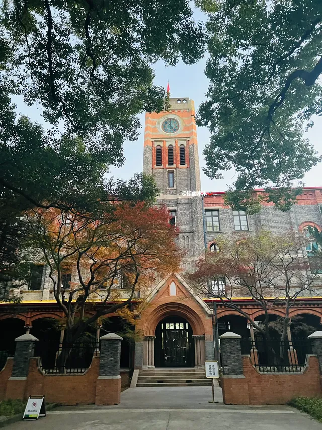 11.30蘇大銀杏實況|想要的色彩這都有 11.30蘇大銀杏實況|想要的色彩這都有