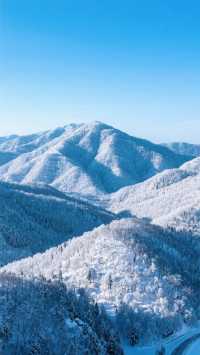 12月長春四天三晚,住進北國春城的冰雪舒事詩!