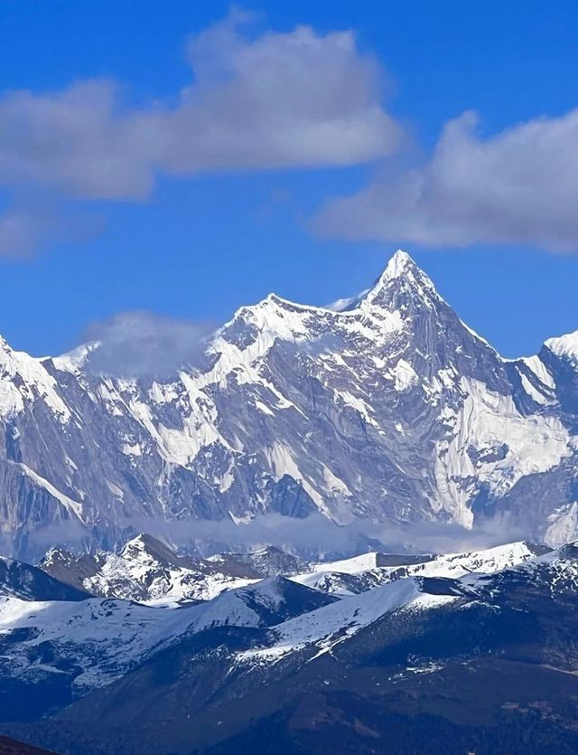 西藏林芝深度遊:邂逅雪山桃花與森林的浪漫 西藏林芝深度遊:邂逅雪山桃花與森林的浪漫
