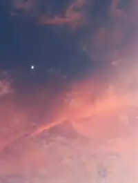 這家南澳海島餐廳讓我的度假感拉到滿分