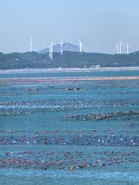 南澳島風車下的海洋牧場