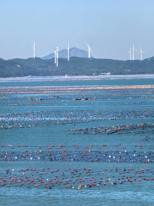 南澳島風車下的海洋牧場 南澳島風車下的海洋牧場