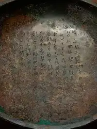 你以為你遇到的是一隻“ i 鳳”??